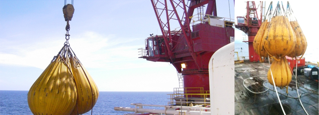 Water Bag Rental Service